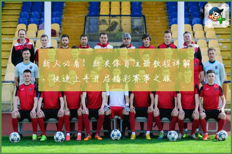 新人必看！新浪体育注册教程详解，快速上手开启精彩赛事之旅