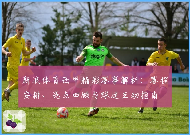 新浪体育西甲精彩赛事解析：赛程安排、亮点回顾与球迷互动指南