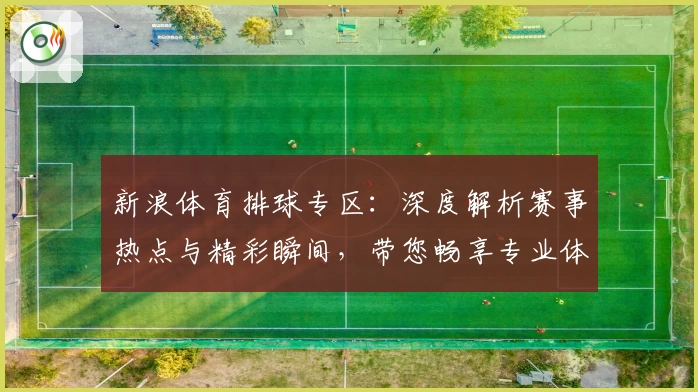 新浪体育排球专区：深度解析赛事热点与精彩瞬间，带您畅享专业体育资讯