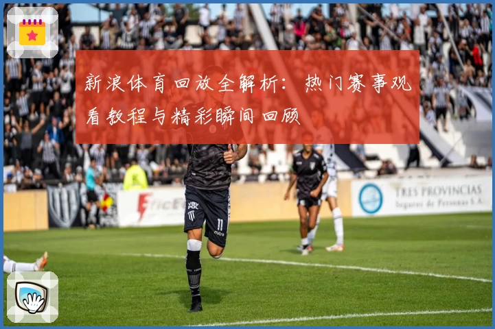 新浪体育回放全解析：热门赛事观看教程与精彩瞬间回顾