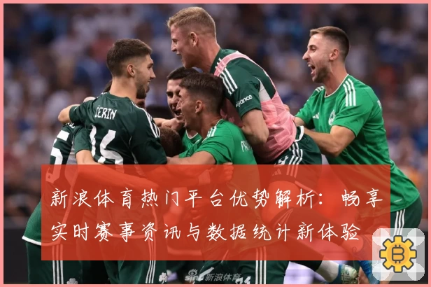 新浪体育热门平台优势解析：畅享实时赛事资讯与数据统计新体验