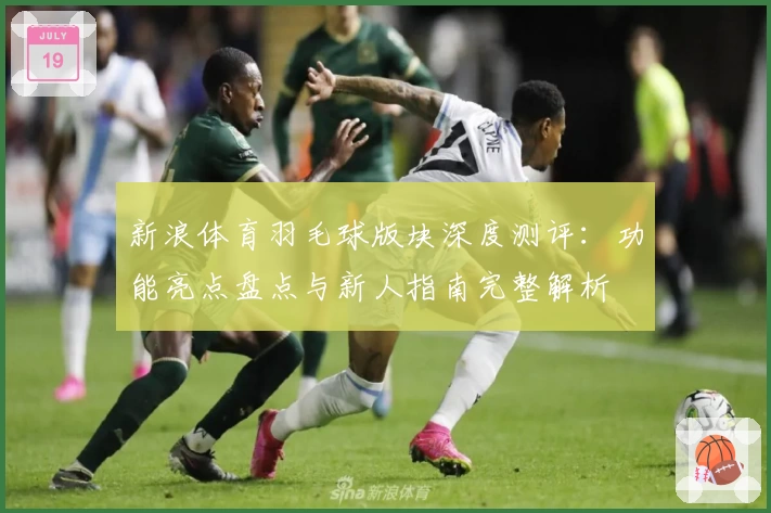 新浪体育羽毛球版块深度测评：功能亮点盘点与新人指南完整解析