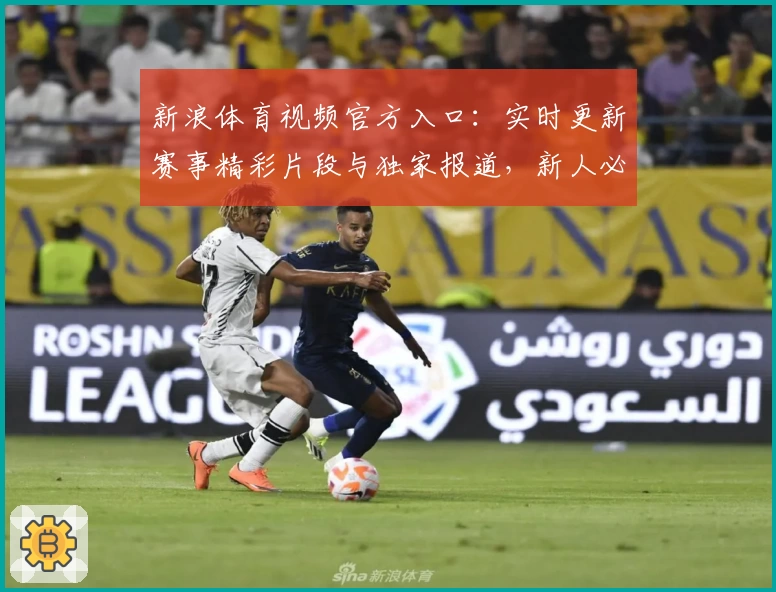 新浪体育视频官方入口：实时更新赛事精彩片段与独家报道，新人必备观看指南
