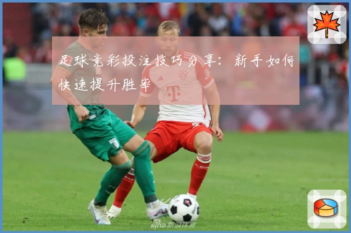 足球竞彩投注技巧分享:新手如何快速提升胜率