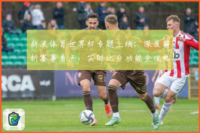 新浪体育世界杯专题上线：深度解析赛事看点，实时比分功能全攻略