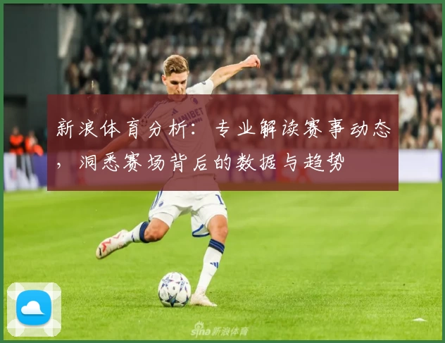 新浪体育分析：专业解读赛事动态，洞悉赛场背后的数据与趋势