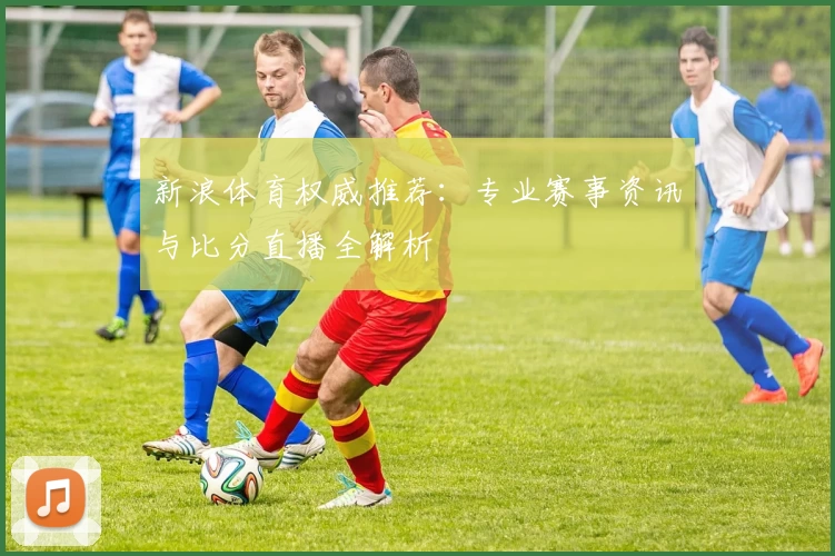 新浪体育权威推荐:专业赛事资讯与比分直播全解析
